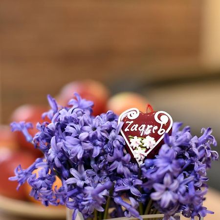 Zagreb 3 Hearts Διαμέρισμα Εξωτερικό φωτογραφία